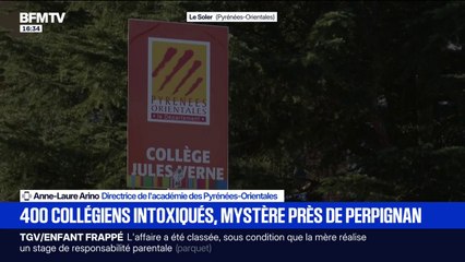Collégiens intoxiqués: "On va s'adapter à l'accueil des enfants le matin", explique Anne-Laure Arino, directrice de l'académie des Pyrénées-Orientales