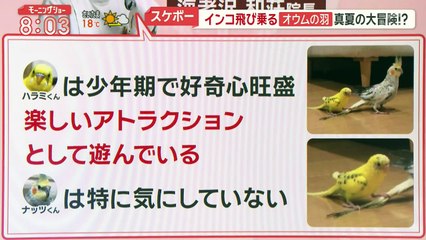 羽鳥慎一モーニングショー 2025年日12月8日