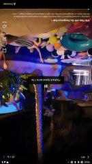 Wild Ride With The Dangerous Kian Full Movie