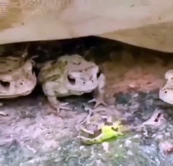 Don't put everything you see in your mouth..