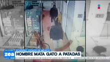 VIDEO: Hombre patea a gatito hasta arrebatarle la vida