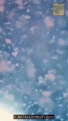 La pequeña princesa de las plantas Adorada por to (Doblado) en Español