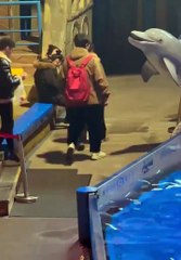 Fumer est interdit dans l'aquarium... il va vite le comprendre