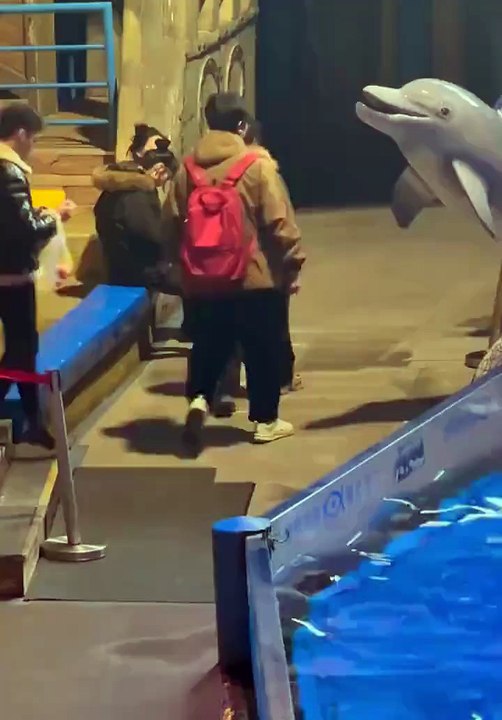 Fumer est interdit dans l'aquarium... il va vite le comprendre