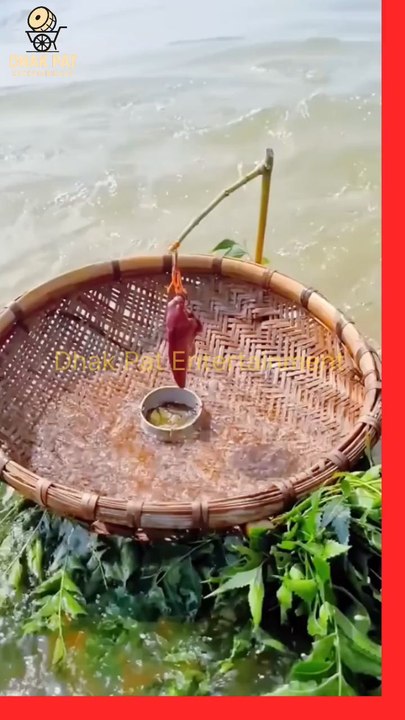 Fish Catching Trick