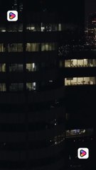 Sweet Wild Amnesia shortmintz