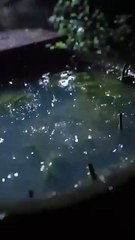 Reborn, she held tight to the man who died for her in a past life, vowing to love him deeply - Chinese - 2025