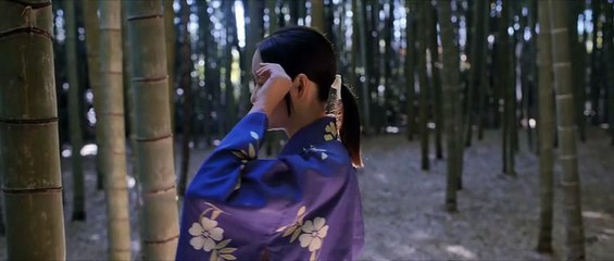 Lone Samurai : 2025 Latest Japanese Movie 1080p Full HD