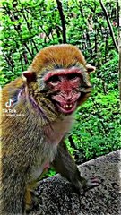 5d932337529050dafd1e290667ce08f7