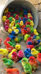 a55fbd09b34eceae59afb92804f732c4