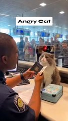 When immigration disrespects your passport photo 😾😂”