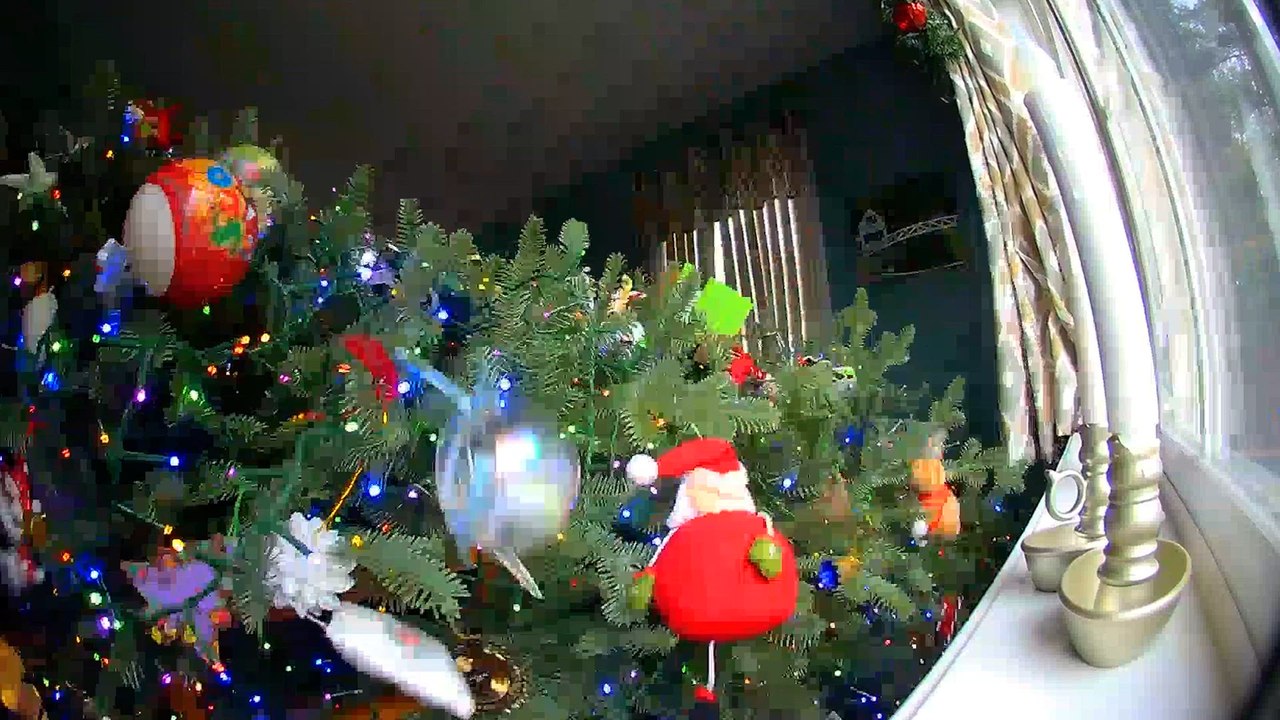 Merry Mishap Christmas