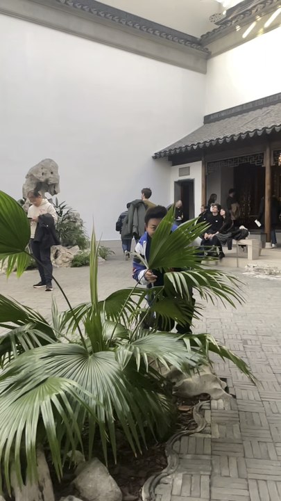 Was the Metropolitan Museum of Art the runway for Chinese-American Nelson Wang? This video was shot on December 6, 2025, at 1000 Fifth Avenue, New York City.