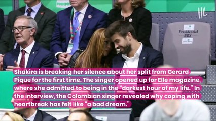 Shakira Breaks Silence On Her Split