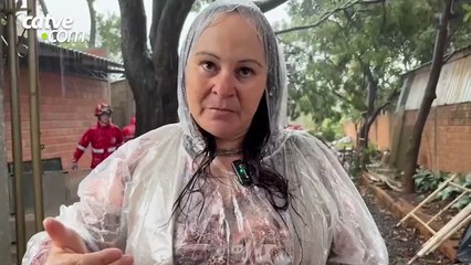 Moradora relata medo após queda de galho sobre casa em Cascavel