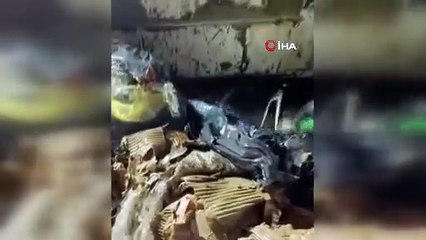 Kediyi poşete koyup çöpe attılar