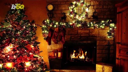 Unlock the Magic of Fresh Christmas Trees With These Pro Tips
