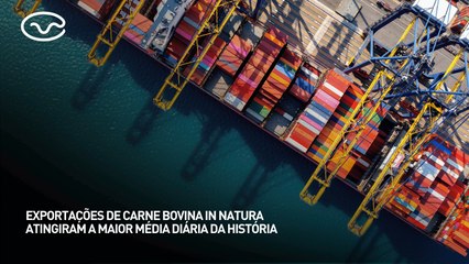 Exportações de carne bovina in natura atingiram a maior média diária da história