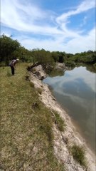 Pescando en el arroyo a la mamá de las tortugas 😂