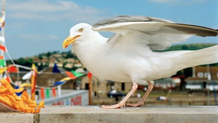 I Am Martin Parr, le photographe so British