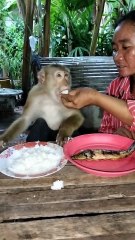 Amazing Best SokYalla, OG, Pao & Mom Are Famous  Job Best SokYaa, OG, Pao & Mom Are Famous Around The World #shorts #anime #trend #edit