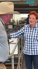 Barnaby Joyce defects to One Nation