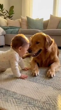 Happy moments between a dog and a child playing joyfully and happily! 🐶👶❤️ Enjoy the moment! #baby #dog #ai #puppy