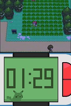 Pokémon Version Platine online multiplayer - nds