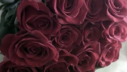 2021 The Gap Between Her Legs FULL MOVIE