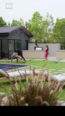 My Father, My Hero [ NEW MOVIE RELEASES ]