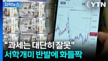 [자막뉴스] "양도세 강화 시 국내로 안 돌아올 것"...잘못 짚은 책임? / YTN