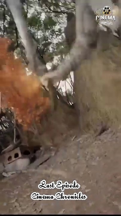 Kismat Ka Katil | Last Episode | Chinese Drama Hindi Dubbed | Cinema Chronicles