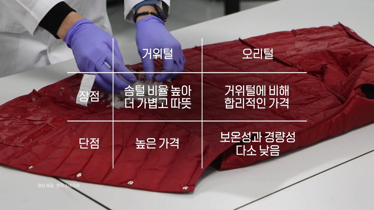 겉은 거위, 속은 오리...반복되는 '패딩 표기 불신' [앵커리포트]  / YTN