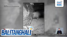 2 lalaki, patay sa pamamaril; ugat ng krimen, posibleng dahil umano sa ilegal na droga, ayon sa pulisya | Balitanghali