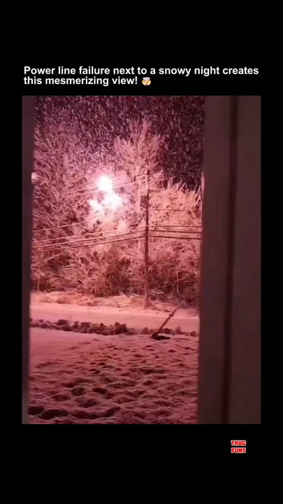 Snowfall vs Electric poll - it is kind of beautiful Meme Shorts Gone WILD! 😂🔥 Instant Laughs