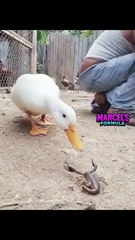 19 34 viral video Original link