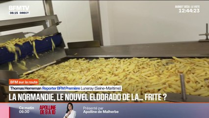 "C'est un produit qu'on a préparé pour vous": des frites fraîches pré-cuites, une innovation 100% normande