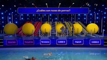 Juego De Pelotas Espana Capitulo 8