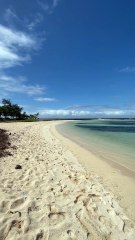 PETIT BANC DE POISSONS rencontrés sur la plage