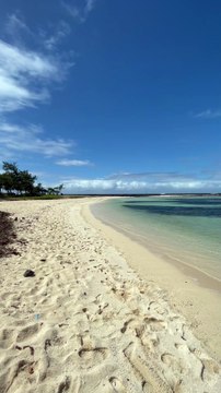 PETIT BANC DE POISSONS rencontrés sur la plage