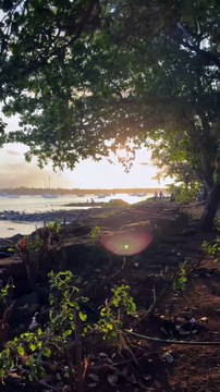 PLEINITUDE dans la baie de Grand Baie