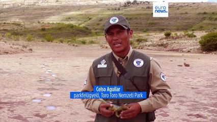 Sehol sem találtak még annyi dinoszaurusz-lábnyomot, mint Bolíviában