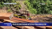 Polisi Selidiki Dugaan Aktivitas Pembalakan Hutan