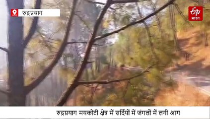 रुद्रप्रयाग मयकोटी क्षेत्र में सर्दियों में जंगलों में लगी आग, काबू करने में वन विभाग के छूटे पसीने