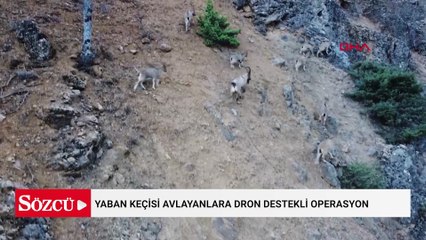 Tunceli'de yaban keçisi avlayanlara dron destekli operasyon
