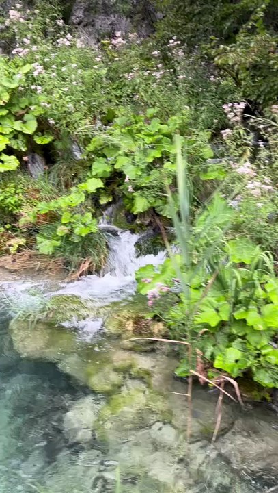 UNE EAU PLUS QUE transparente en Croatie