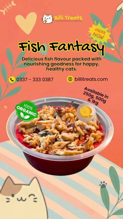 Cat Food Online in Karachi by Billi Treats | Healthy Fish Fantasy Cat Treat