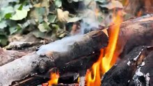 wilderness steak&truffles cooked on Hot ston🥩🔥ASMR Outdoors Cooking”