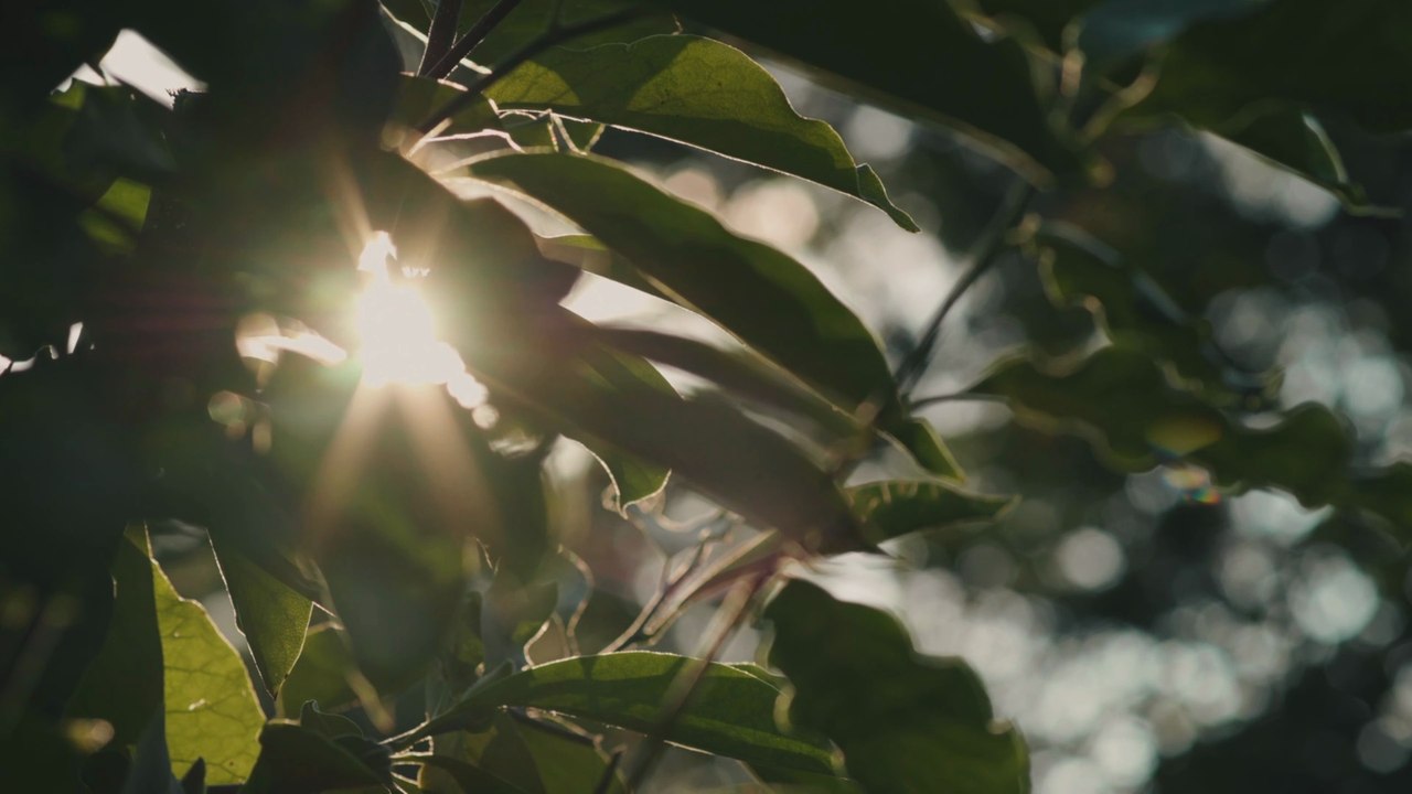 Day24 - 30 Days New You Challenge Malayalam