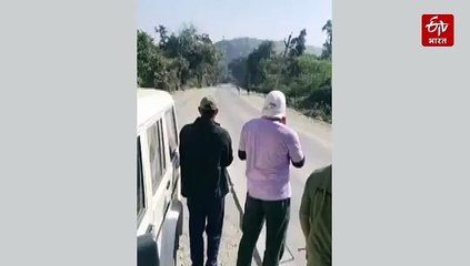 एनएच 52 पर बाघिन से थमा ट्रैफिक, ऐसे पार किया दरा घाटी में हाईवे...देखिए वीडियो